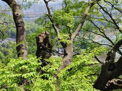 -昭山风景名胜区