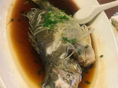 -凤中皇清远鸡村(凤城店)