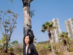 -美的鹭湖森林度假区