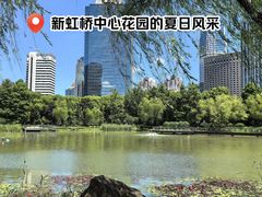 -新虹桥中心花园