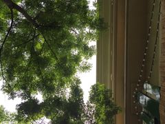 -Cactus墨西哥仙人掌餐厅