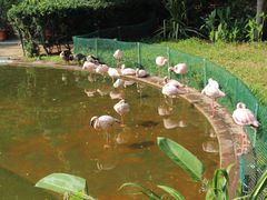 -九龙公园