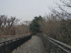 -虞山城墙