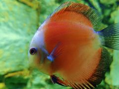 -多彩贵州城极地海洋世界