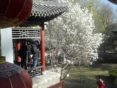 -碑林公园