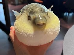 -肆月河豚·淮扬菜·湘菜(华天店)