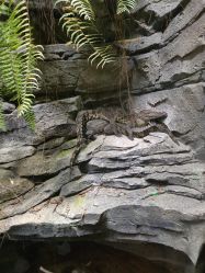 -Zoolung Zoolung动物主题公园(海信广场店)