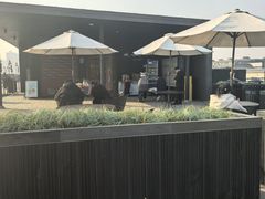 -西安唐皇城墙含光门遗址博物馆