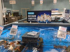 -盒马鲜生(杭州运河上街店)