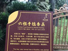-国恩寺