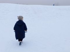 -绿野森林乐园冰雪季