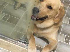 -佳百利宠物(荣乐中路115弄小区店)