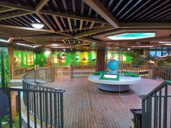 -黄海国家森林公园