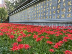 -西安大兴善寺