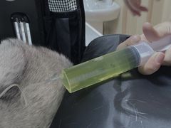 -申普宠物医院·心脏介入·心血管微创(总院)