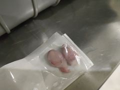 -瑞鹏瑞爱宠物医院·全科·猫科·血液透析中心(龙头寺店)