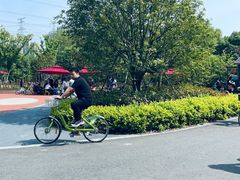 -昆山城市生态森林公园