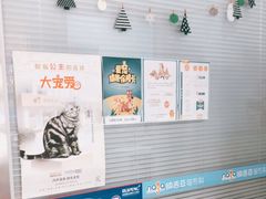 -纳吉亚猫专科动物医院博雅分院