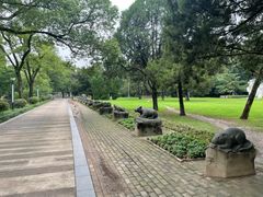 -菱湖风景区