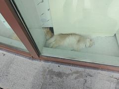 -蠡湖大桥公园