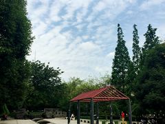 -成都市活水公园