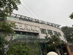 -沈坚强游泳俱乐部(武宁南路店)
