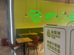 -油梨树AVOCADO TREE(望京店)