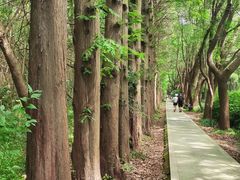 -同里国家湿地公园