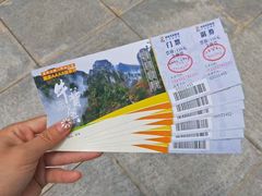 -牛背梁国家森林公园