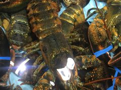 -渔民新村(番禺总店)