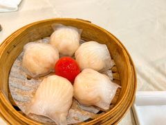 -益健美食大广场(北岭店)