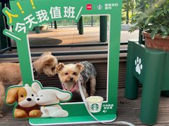 -星巴克(常州新北公园店)