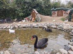 -HERRE·FARM 赫尔露营农场·团建聚会包场