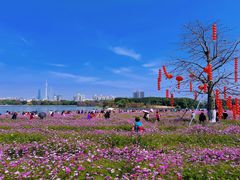 -海珠湖公园