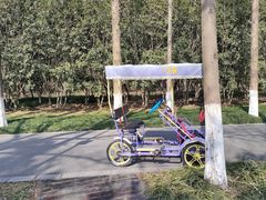 -昆山城市生态森林公园