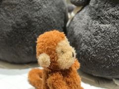 -深圳湾万象城(南山店)