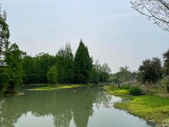 -桤木河湿地公园