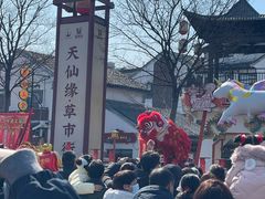 -东台西溪天仙缘景区