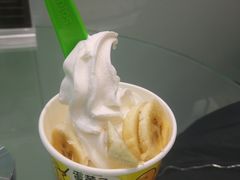 -Salud撒露欧洲冻酸奶(蓝色港湾店)