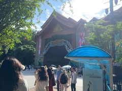 -西双版纳原始森林公园