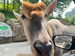 -北京野生动物园