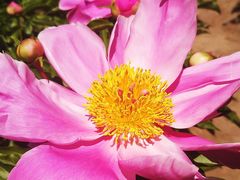 -长春公园(普阳街道)