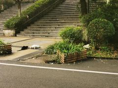 -重庆工商大学(南岸校区)
