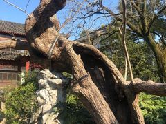-汇龙潭