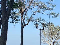 -悦海公园