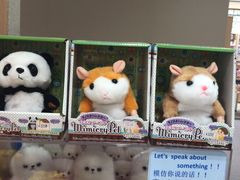 -台场海滨公园船码头