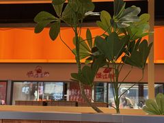 -乔一乔怪味干锅(武侯欢肆店)