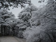 -黄山风景区