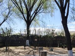 -春风习习
