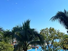 -粤菜王府·海鲜·茶市·海景餐厅(大梅沙店)